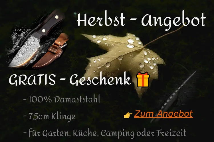 Herbst-Angebot: Gratis Geschenk zu jedem Setkauf – Schneidemesser, Küchenmesser mit Olivenholzgriff aus Damaststahl, günstig und ideal für die Küche