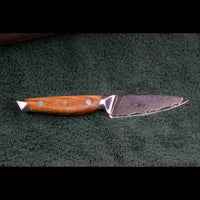 SKeld™ Schneidemesser Damast Gemüsemesser, 67 Lagen, V10 Stahlkern, Griff aus Olivenholz