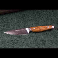 SKeld™ Schneidemesser Damast Gemüsemesser, 67 Lagen, V10 Stahlkern, Griff aus Olivenholz